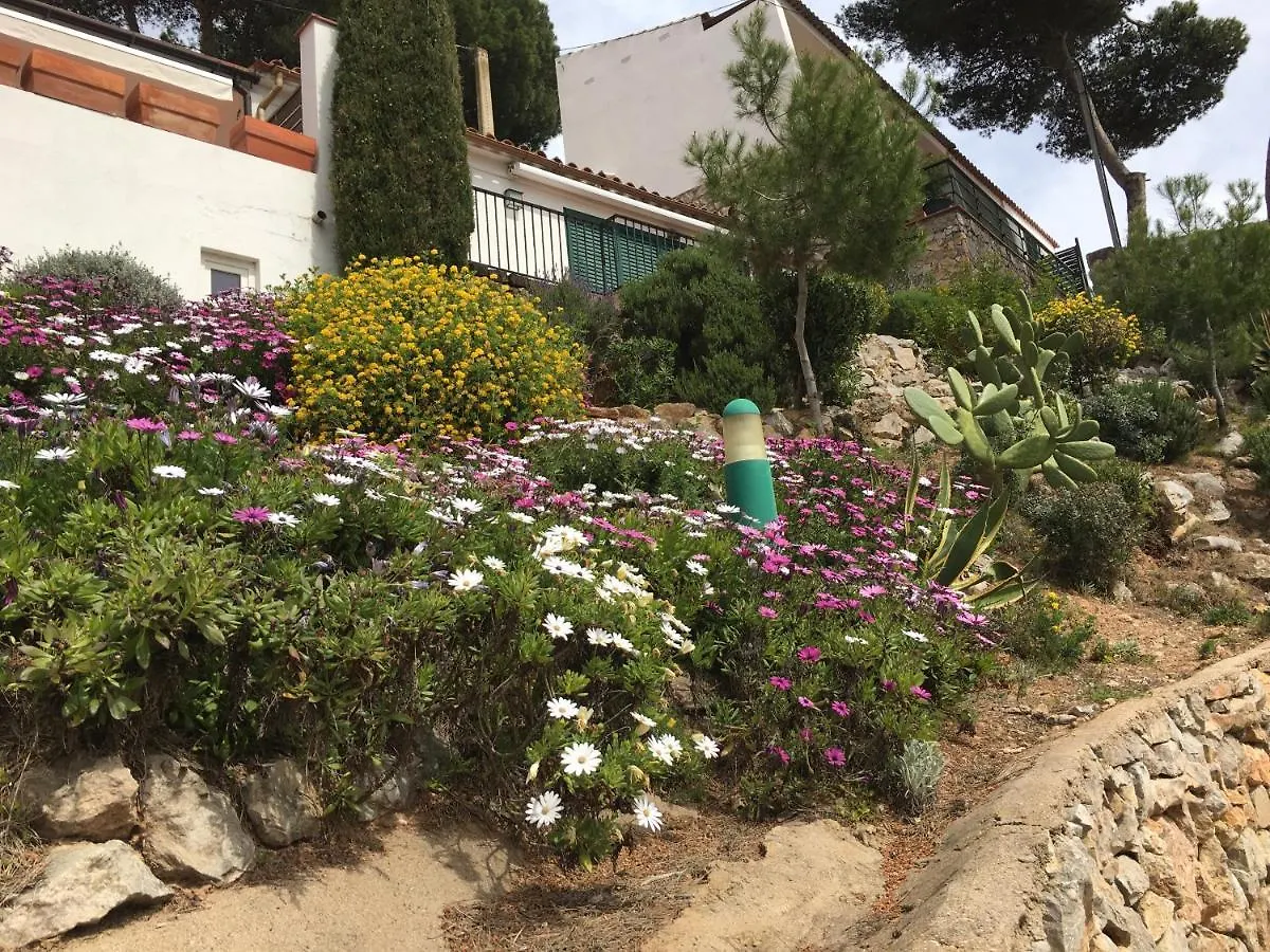 Apartment Apartamento Islas Medas Wifi Y Parking Gratis L'Estartit